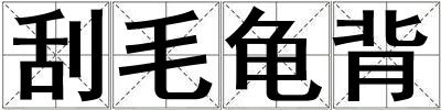 刮毛龜背