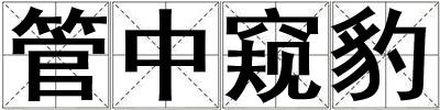 管中窺豹