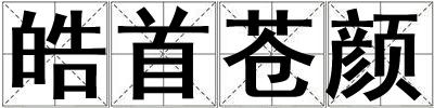 皓首蒼顏