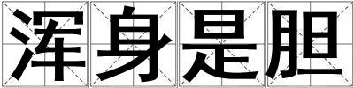 渾身是膽