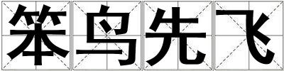 笨鳥(niǎo)先飛