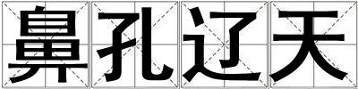 鼻孔遼天