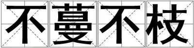 不蔓不枝