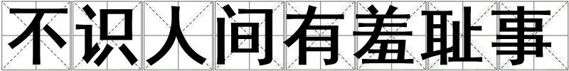 不識人間有羞恥事