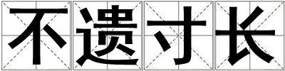 不遺寸長