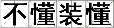 不懂裝懂
