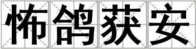 怖鴿獲安