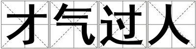 才氣過人