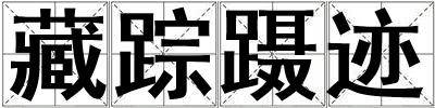 藏蹤躡跡