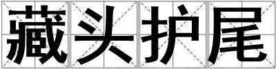 藏頭護尾