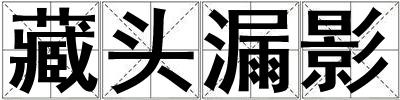 藏頭漏影