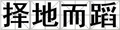 擇地而蹈