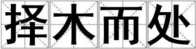 擇木而處