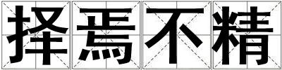 擇焉不精