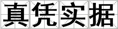 真憑實(shí)據(jù)