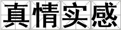 真情實感