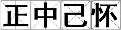 正中己懷