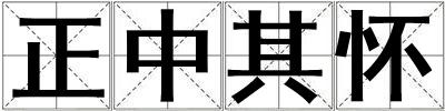 正中其懷