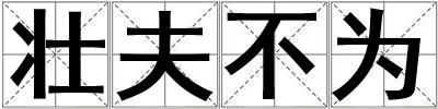 壯夫不為