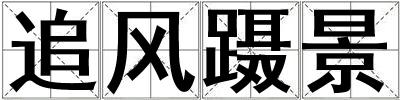 追風(fēng)躡景