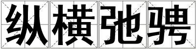 縱橫弛騁