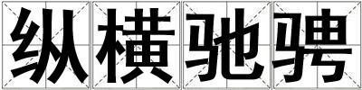 縱橫馳騁
