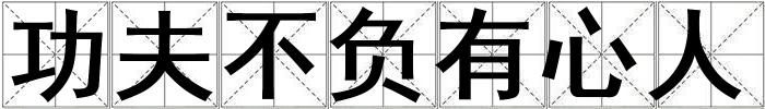 功夫不負有心人