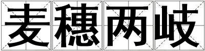 麥穗兩岐