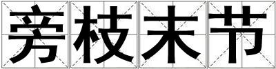 旁枝末節(jié)