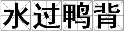水過鴨背
