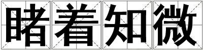 睹著知微