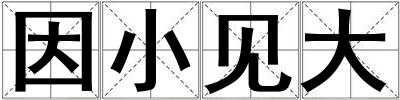 因小見大