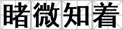 睹微知著