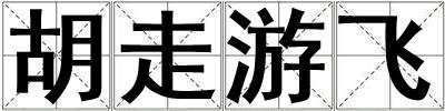 胡走游飛