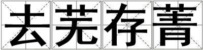 去蕪存菁