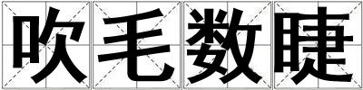吹毛數睫