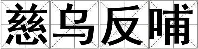 慈烏反哺