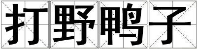打野鴨子