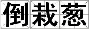 倒栽蔥