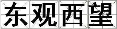 東觀西望