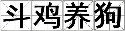 斗雞養狗