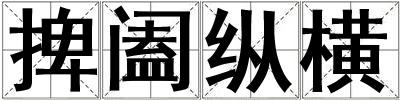 捭闔縱橫