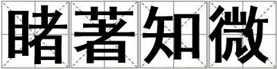 睹著知微