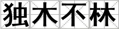 獨木不林