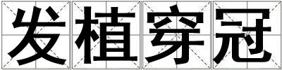 發(fā)植穿冠
