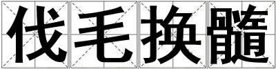伐毛換髓