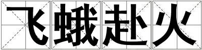 飛蛾赴火
