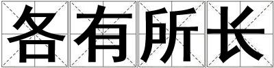 各有所長
